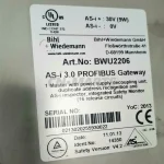 Bihl+Wiedemann BWU2206