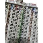 Beckhoff BK3010