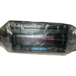 Omega DP18-M2-BCD-24V