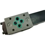 moog WE42P06C21PA0BN/P15