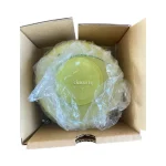 Nippon Dry-Chemical 4452-OKB Photoelectric Smoke Detector