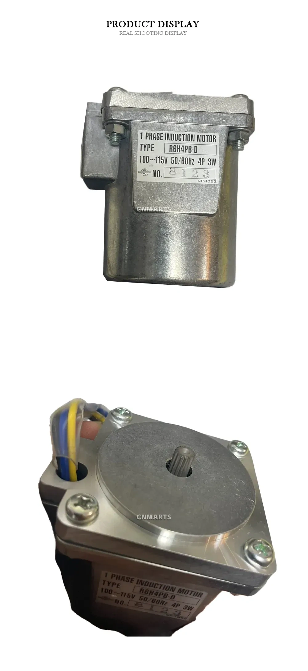 R6H4PB-D Single Phase Induction Motor Description