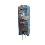 RIICO C12-A21X / C9-A41X / RIBB 024 Industrial Relay Module Assembly