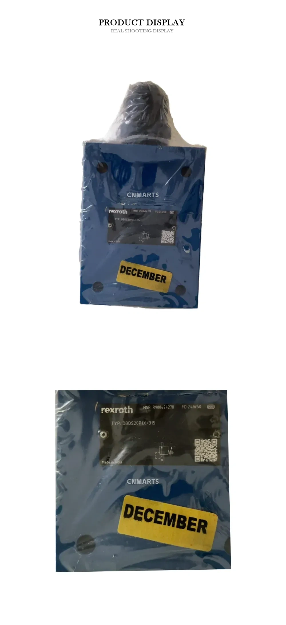 Rexroth DBDS20P1X/315 Hydraulic Pressure Relief Valve Description