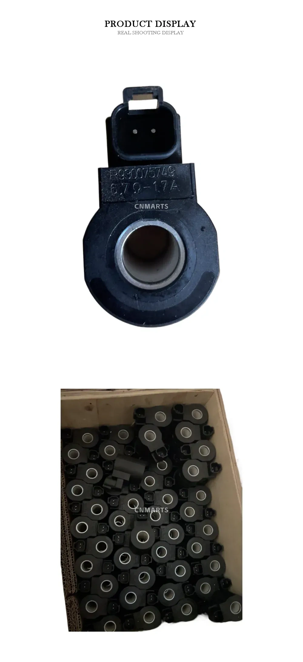 Rexroth R930075749 Solenoid Coil Description