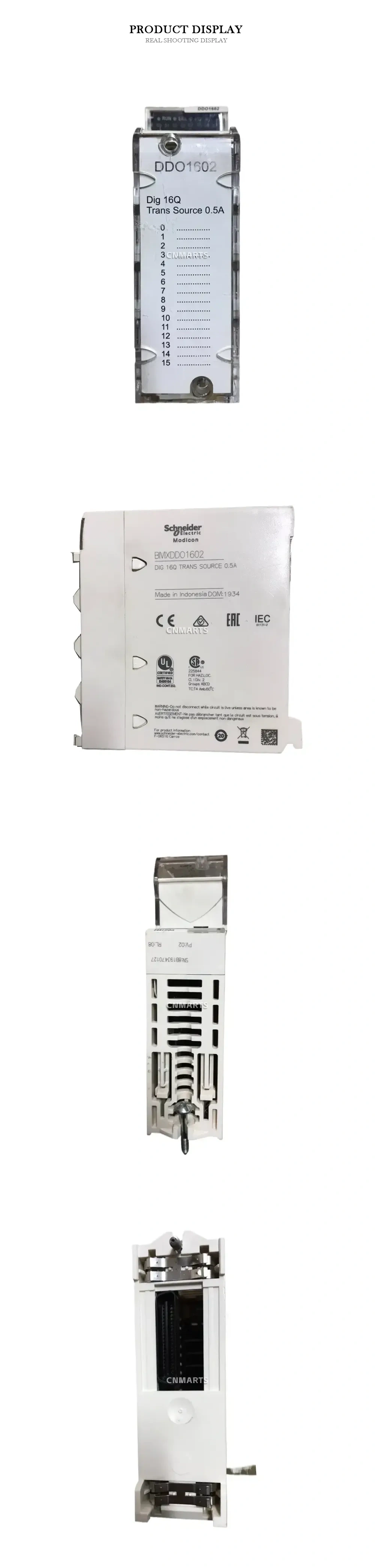 Schneider Electric BMXDDO1602 Digital Output Module Description
