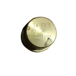 1901281 Engine Coolant Thermostat