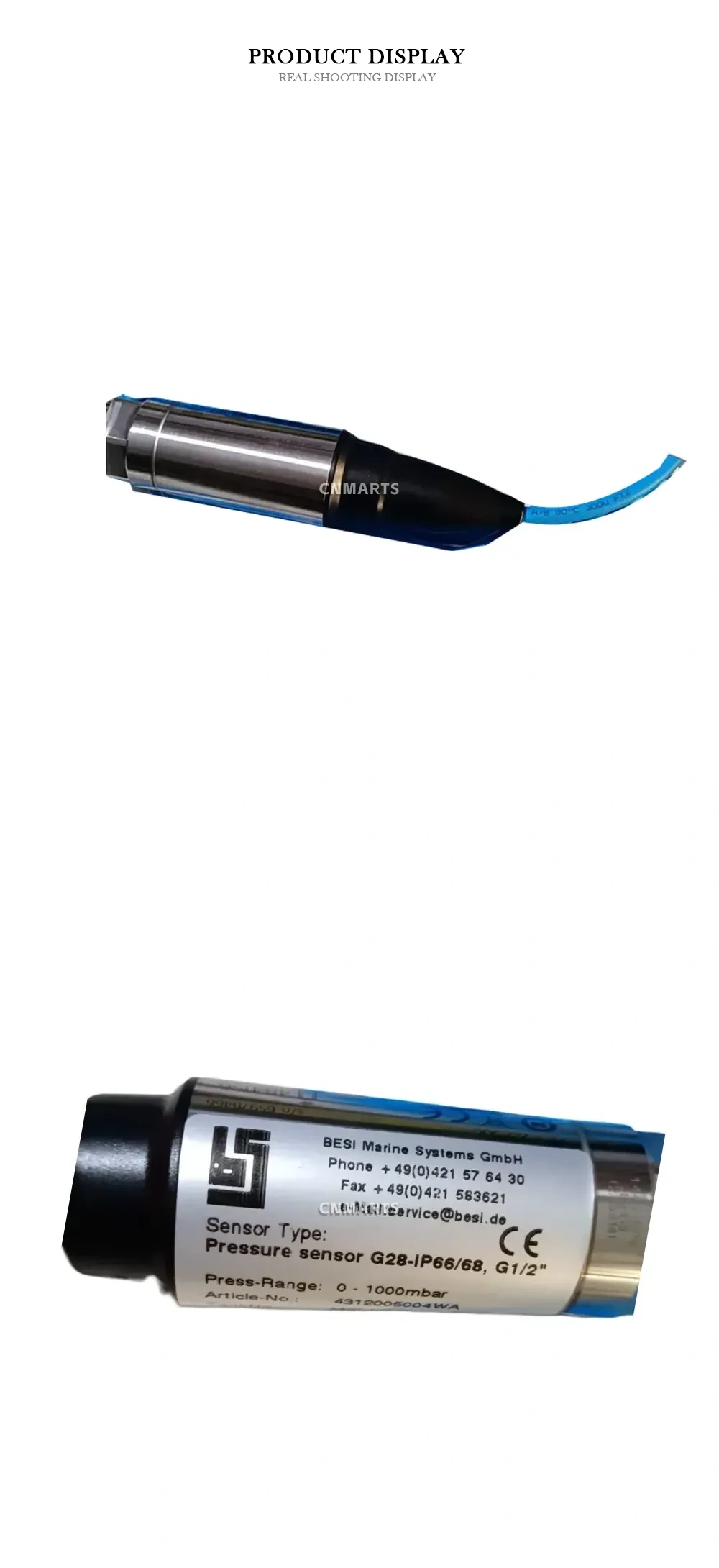 BESI G28-IP66/68 Pressure Sensor Description