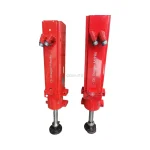 Dr. Staiger Mohilo AMSI 100H-090E-600C-1FNB-H0701 Servo Cylinder