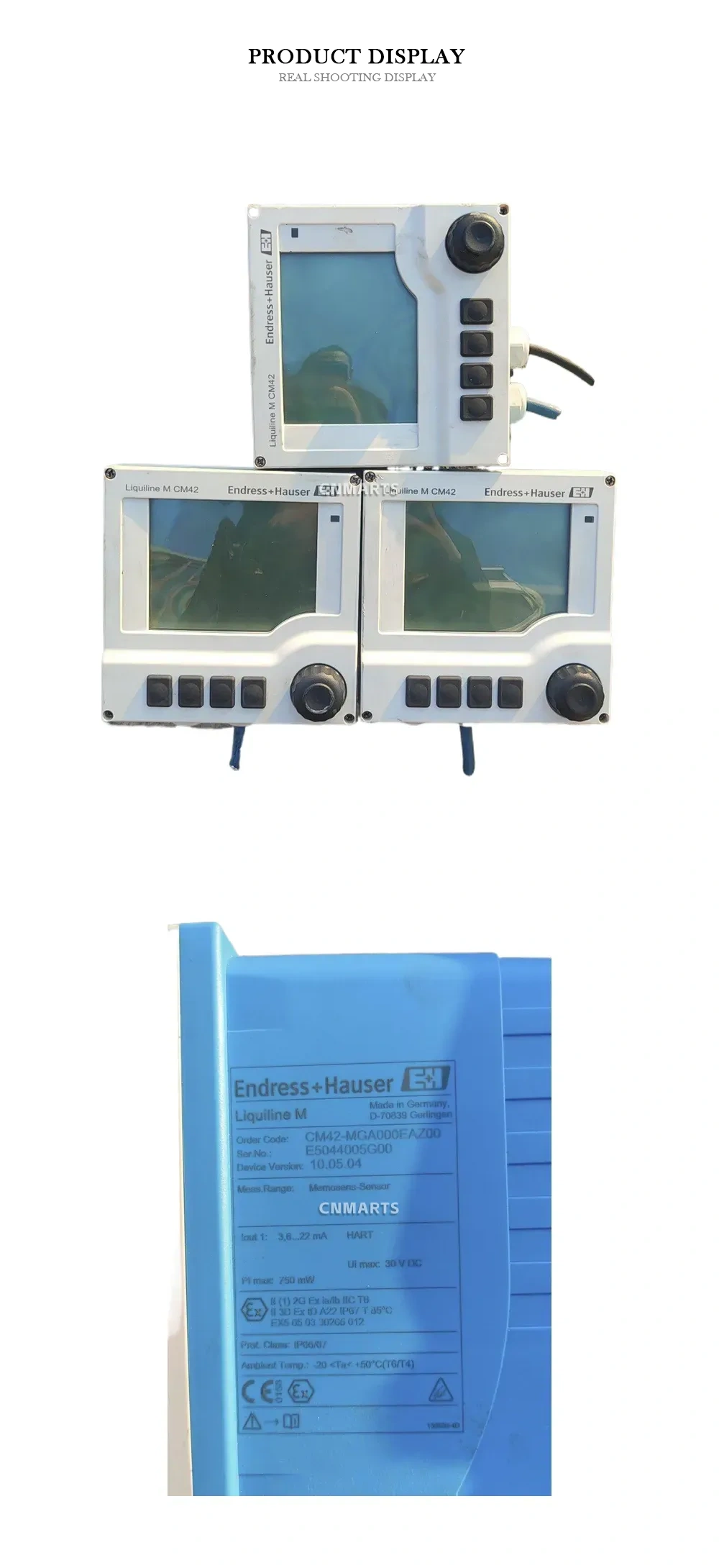 Endress+Hauser CM42-MGA000EAZ00 Analytical Transmitter Description