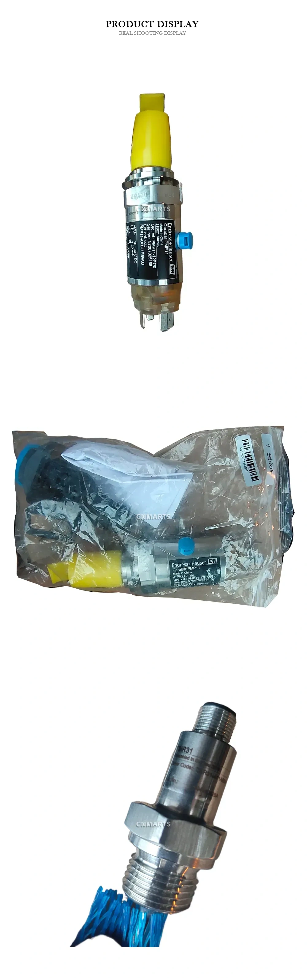 Endress+Hauser Cerabar PMP11 Pressure Transmitter Description