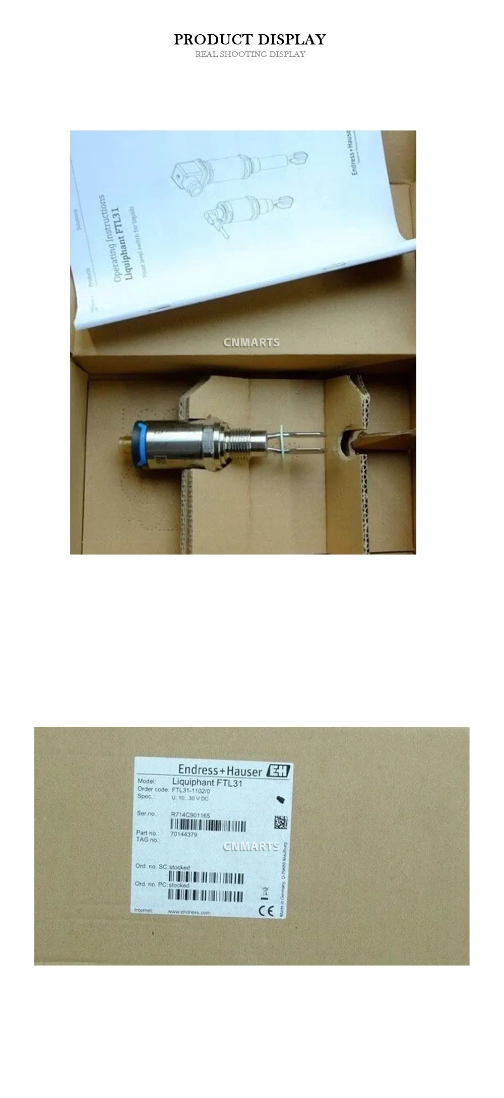 Endress+Hauser Liquiphant FTL31 Vibrating Level Switch Description