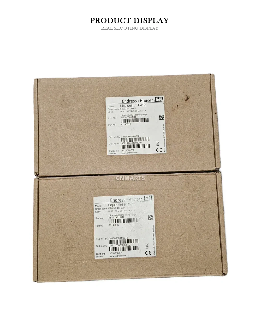 Endress+Hauser Liquipoint FTW33 Point Level Switch Description