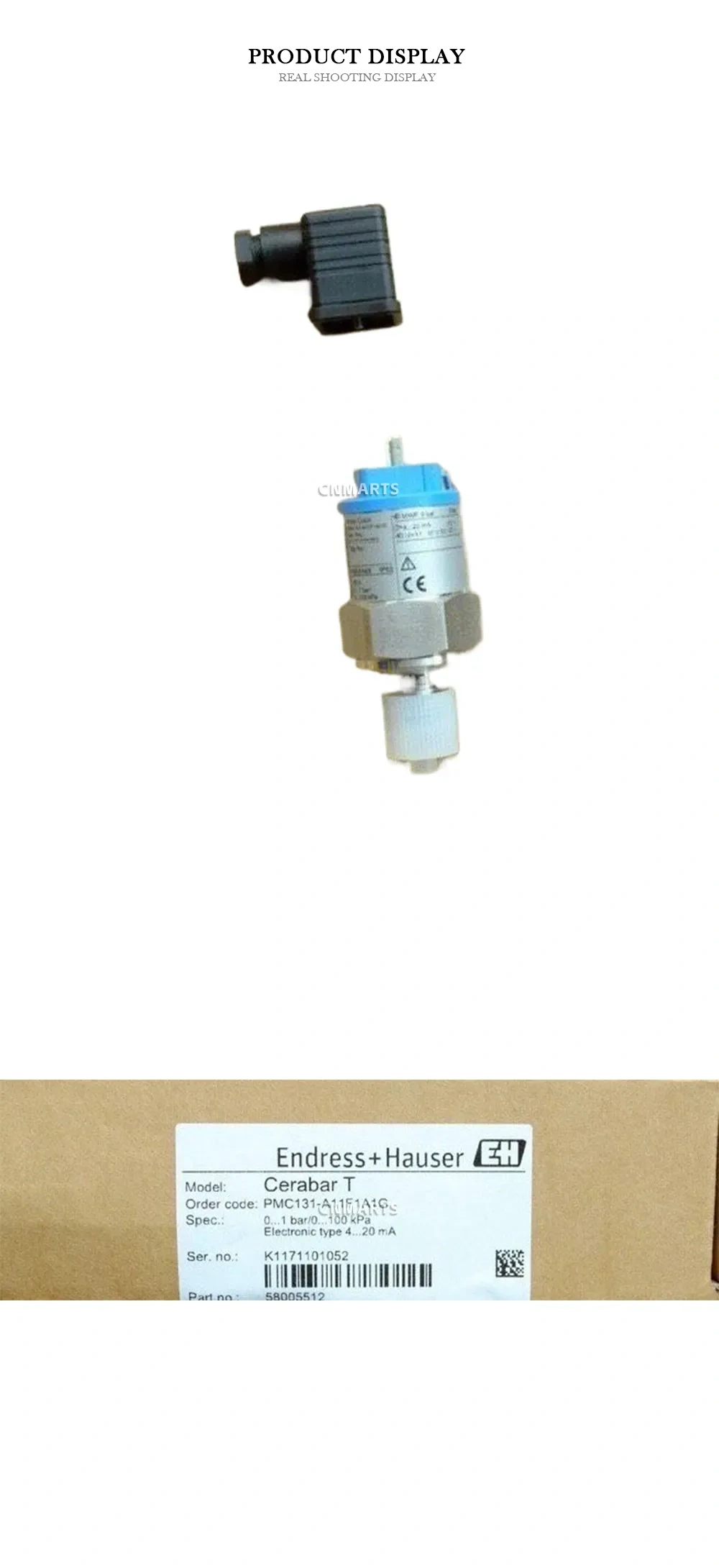 Endress+Hauser PMC131-A11F1A1G Pressure Transmitter Description