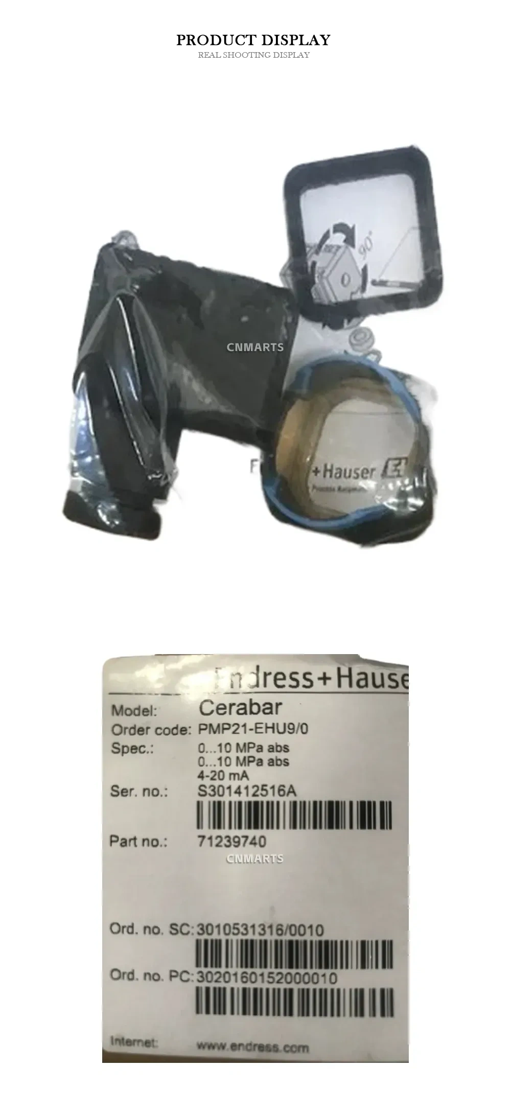 Endress+Hauser PMP21-EHU9/0 Pressure Transmitter Description