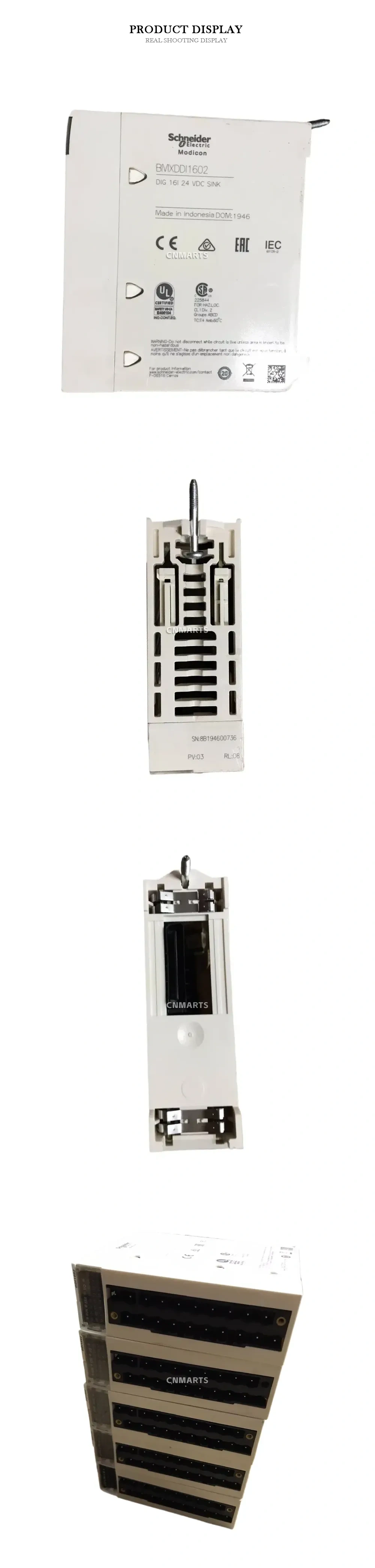 Schneider Electric BMXDDI1602 PLC Digital Input Module Description