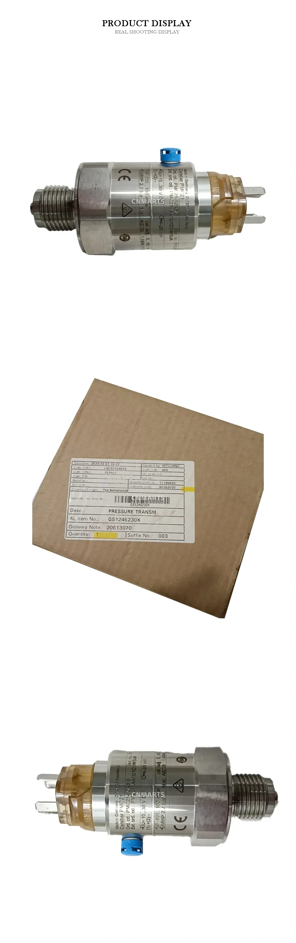 Endress+Hauser PMC21 Pressure Transmitter Description