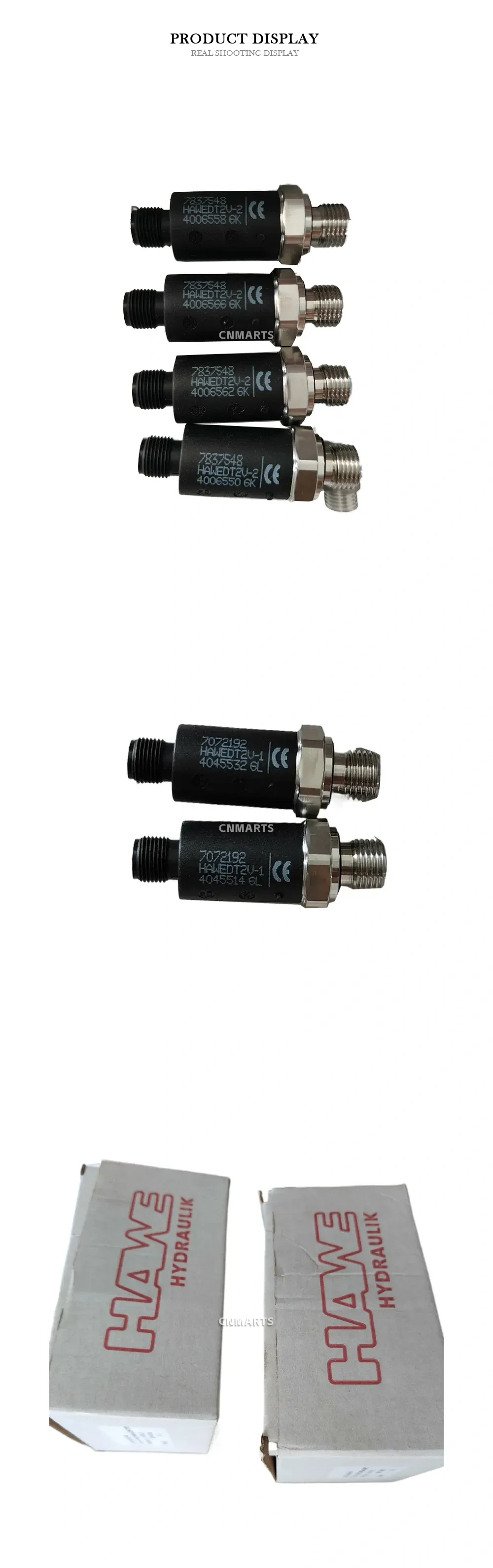 HAWE HAWEDT2V Electronic Pressure Switch Description