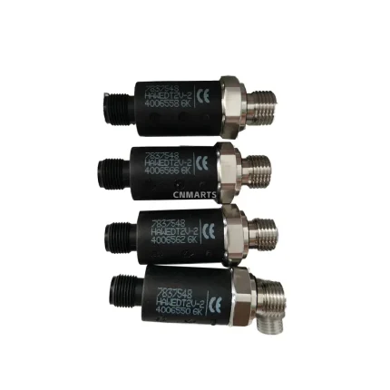 HAWE HAWEDT2V Electronic Pressure Switch