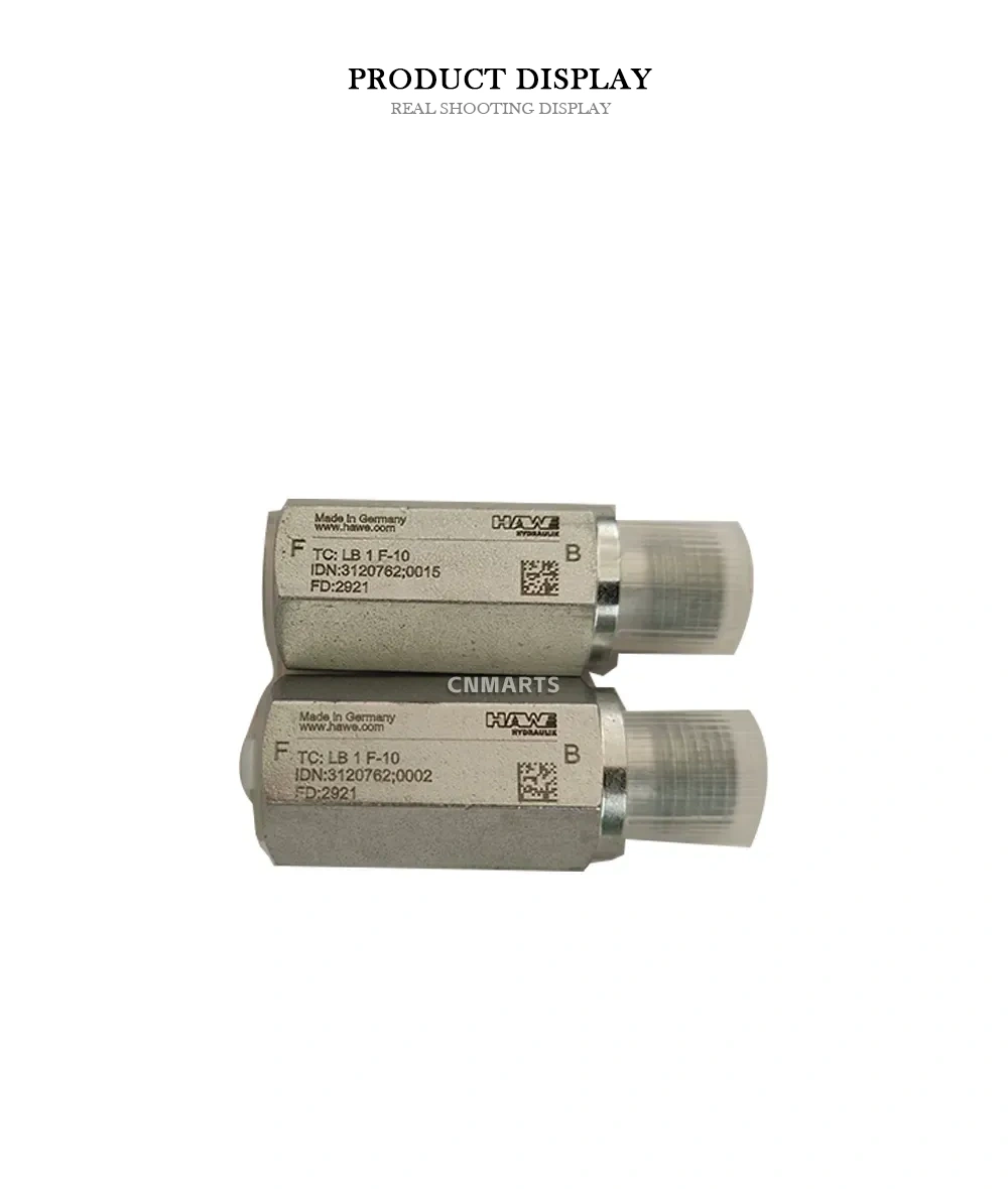 HAWE LB 1 F-10 Hydraulic Check Valve Description
