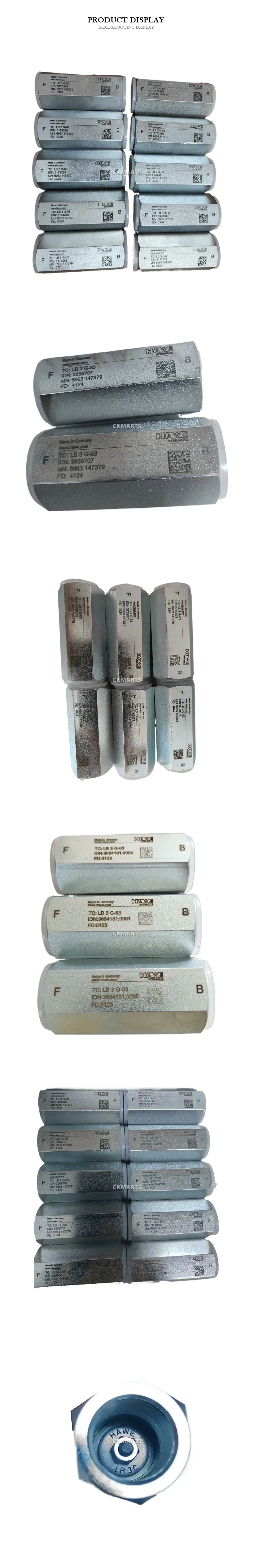 HAWE LB 3 G-63 Hydraulic Load Holding Valve Cartridge Description