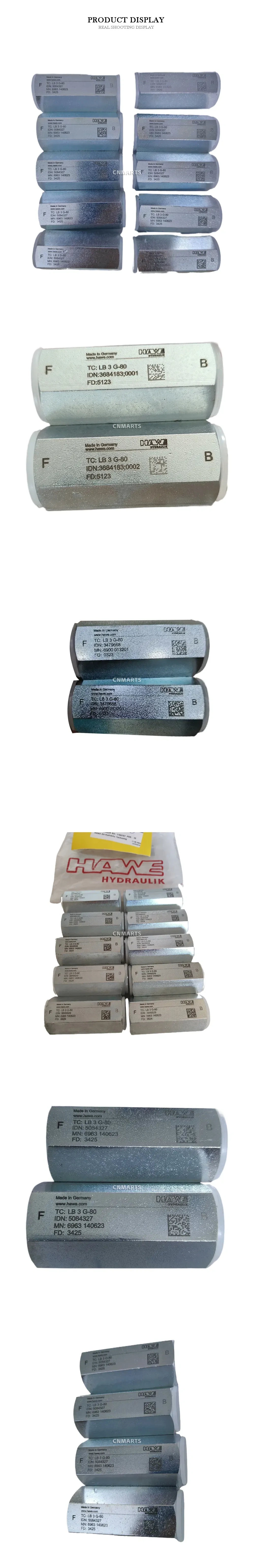 HAWE LB 3 G-80 Pilot Operated Check Valve Description