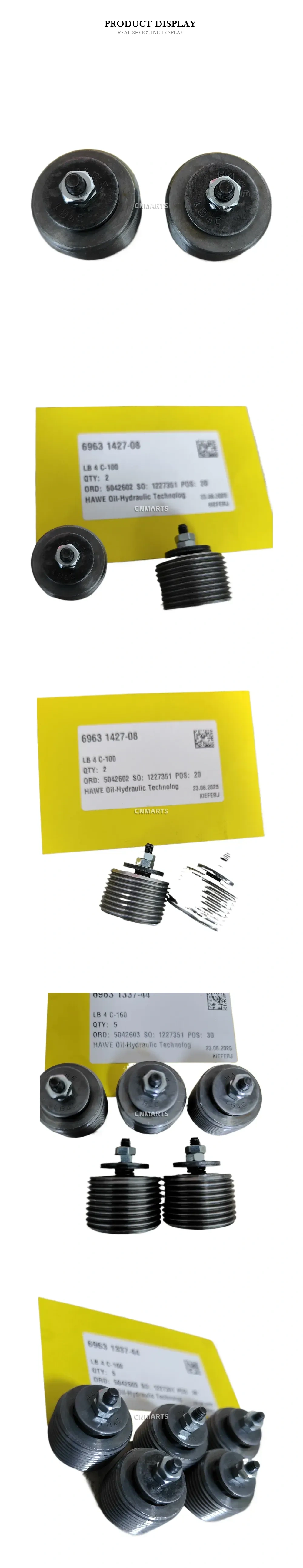 HAWE LB 4 C-100 / LB 4 C-160 Hydraulic Screw-in Check Valve Description