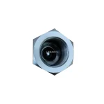 HAWE RK 4 G Hydraulic Check Valve