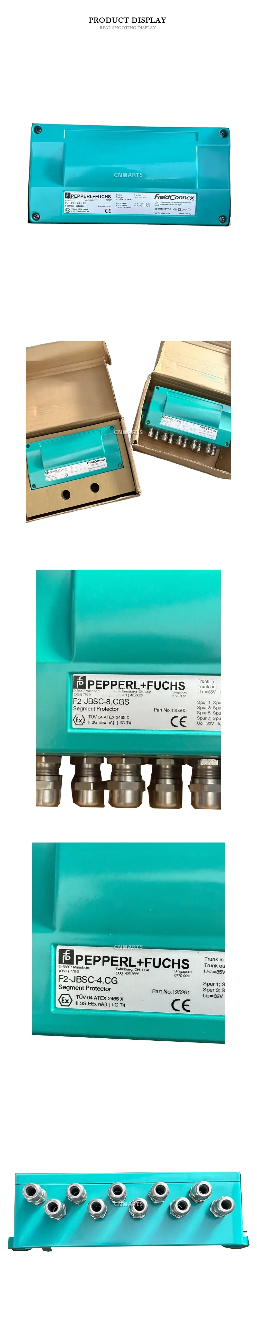 Pepperl+Fuchs F2-JBSC-8.CGS / F2-JBSC-4.CG Segment Protector Description