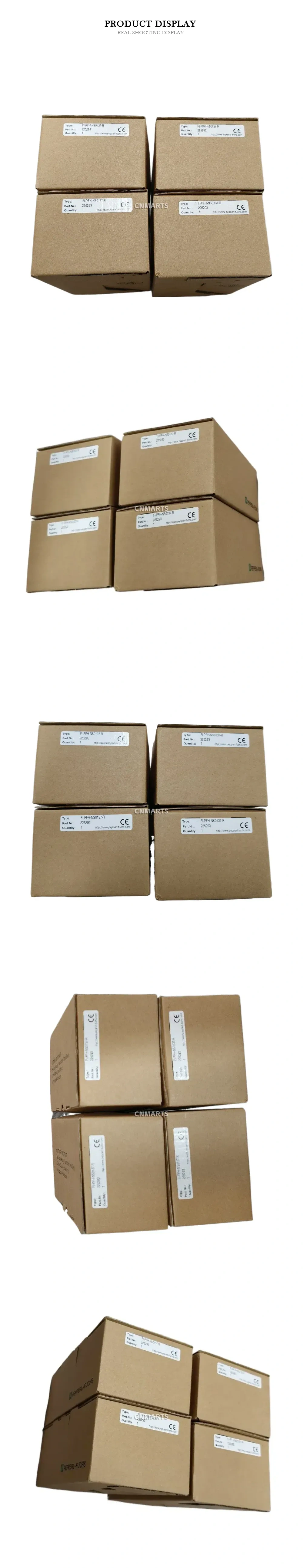 Pepperl+Fuchs FI-PFH-NS0137-R Power Hub Component Description