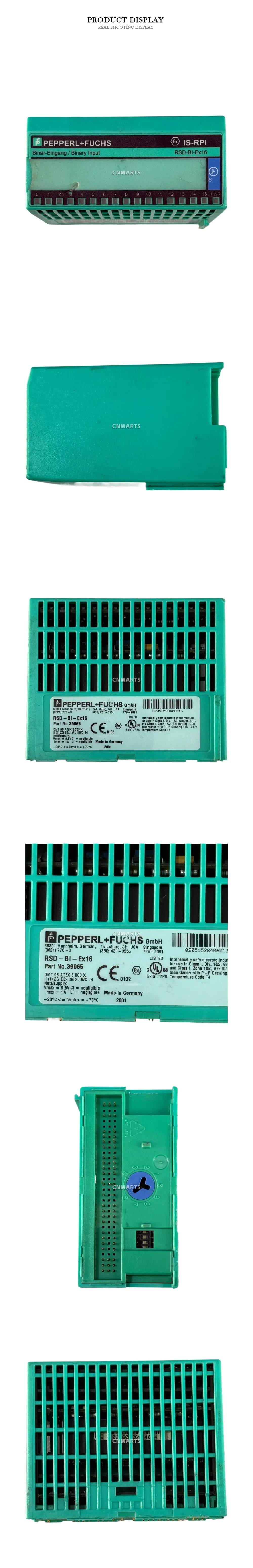 Pepperl+Fuchs RSD-BI-Ex16 Intrinsically Safe Discrete Input Module Description