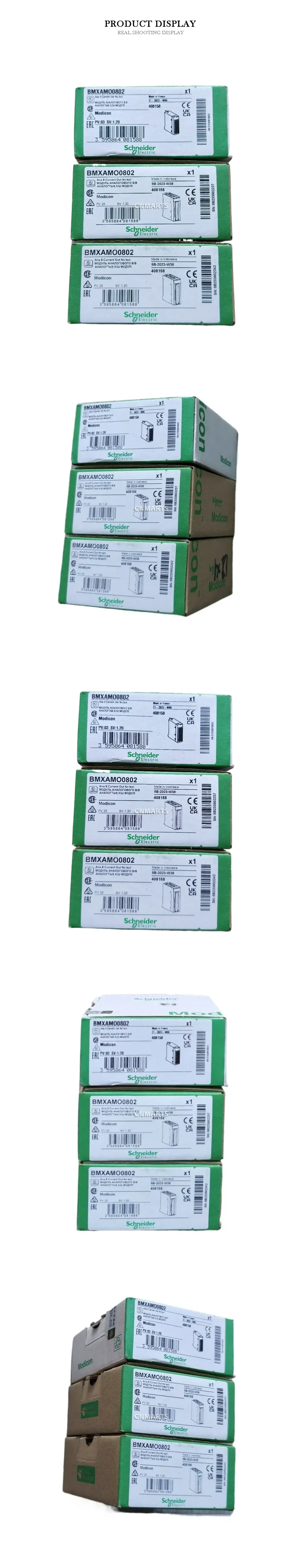 Schneider Electric BMXAMO0802 Analog Output Module Description