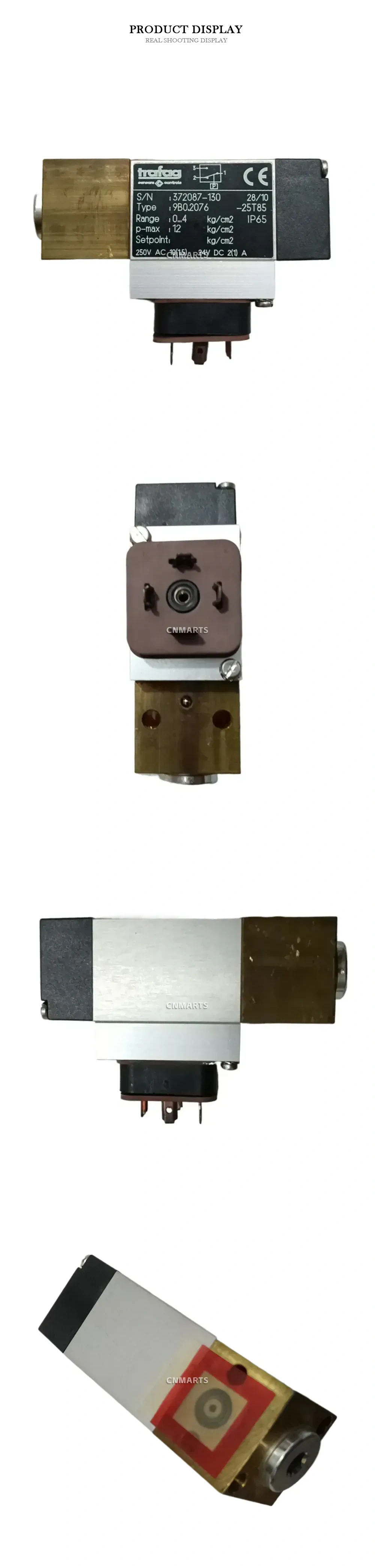Trafag 9B0.2076 Pressure Switch Description