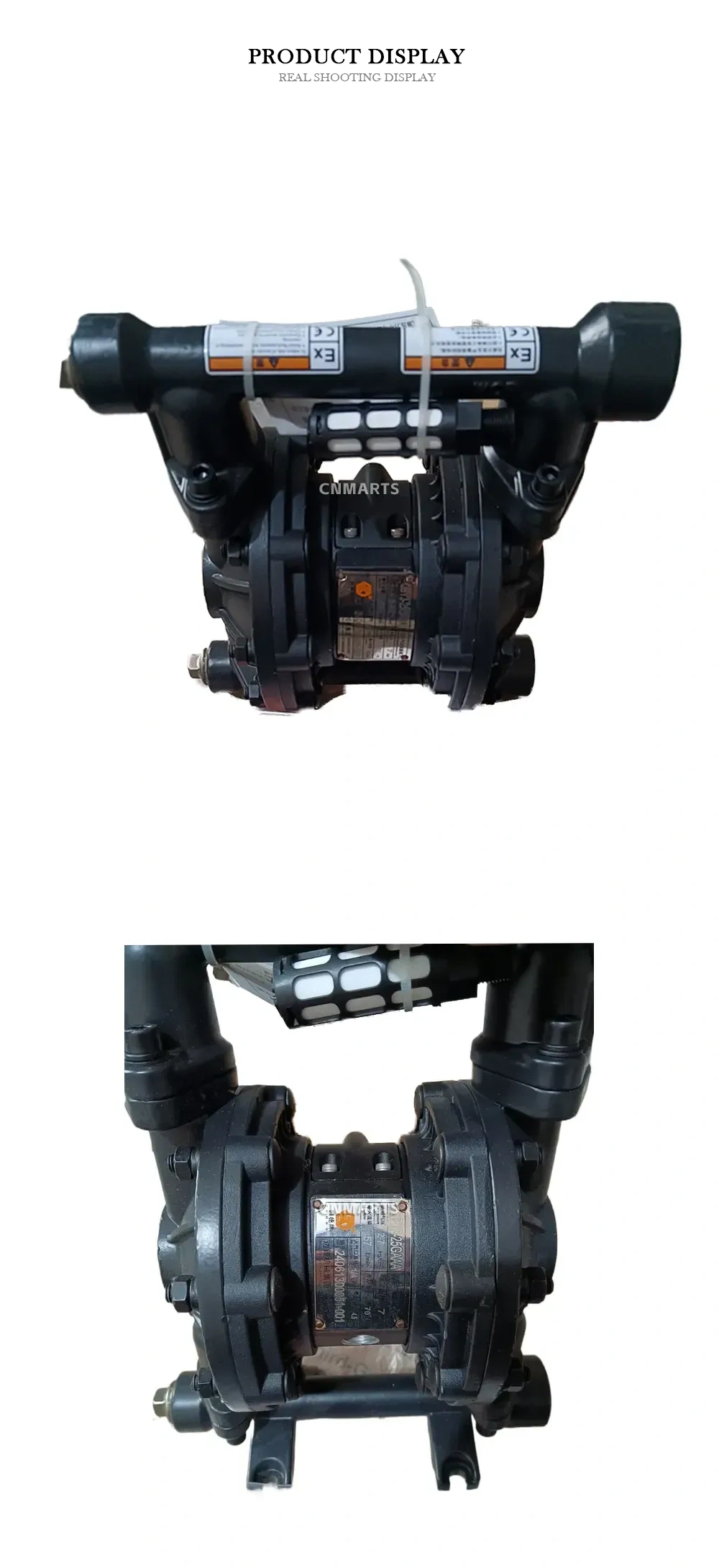 Graco 25GMM Air Operated Double Diaphragm Pump Description