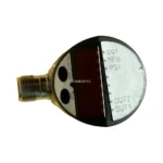 HAWE DG5E-100 Electronic Pressure Switch