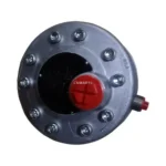 HAWE R 5.3 Hydraulic Pump