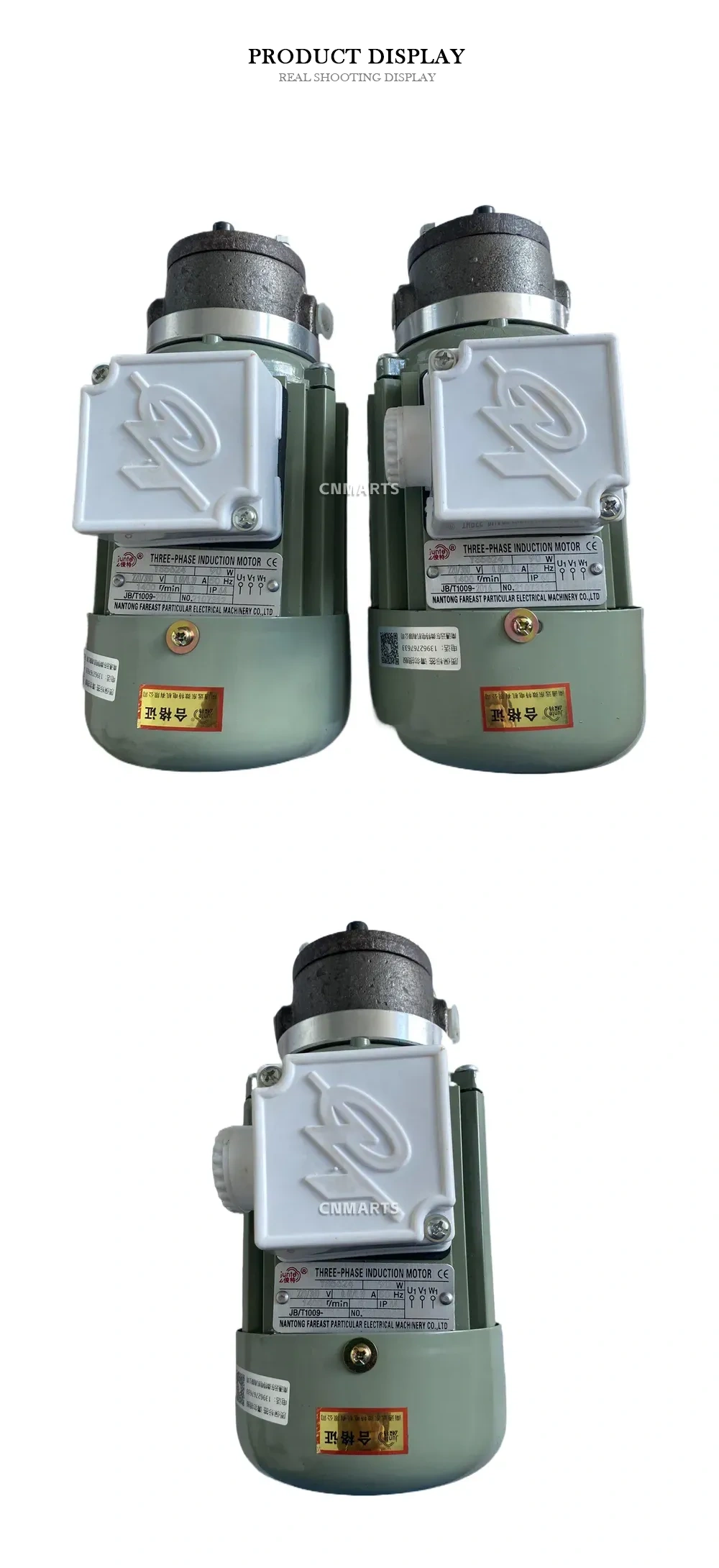 Junte KBBY-3-0.84 Reversible Gerotor Oil Pump with Three-Phase Induction Motor Description