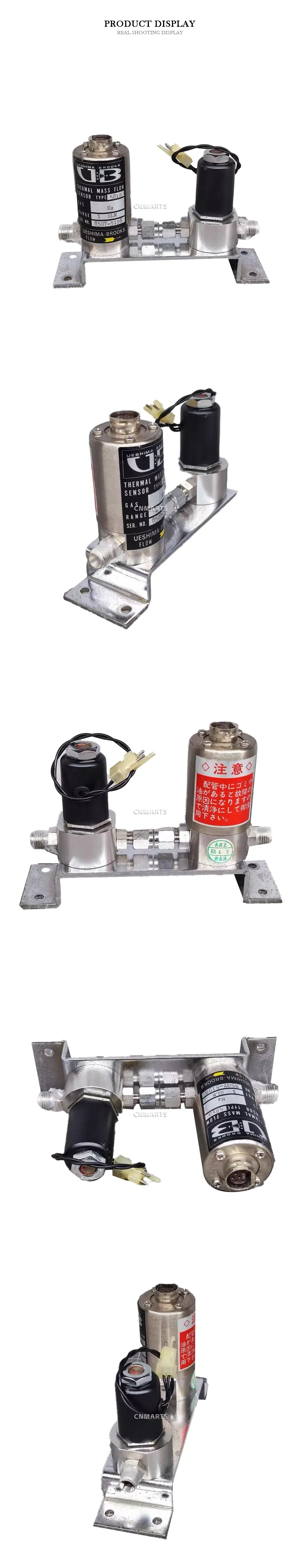 Ueshima Brooks 5810 Thermal Mass Flow Sensor Description
