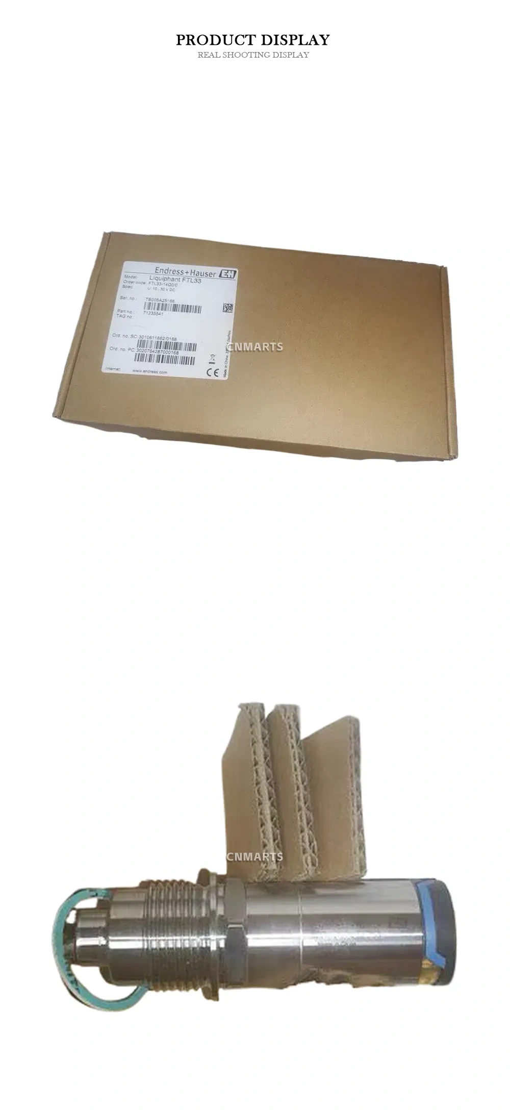 Endress+Hauser FTL33 Vibration Level Switch Description