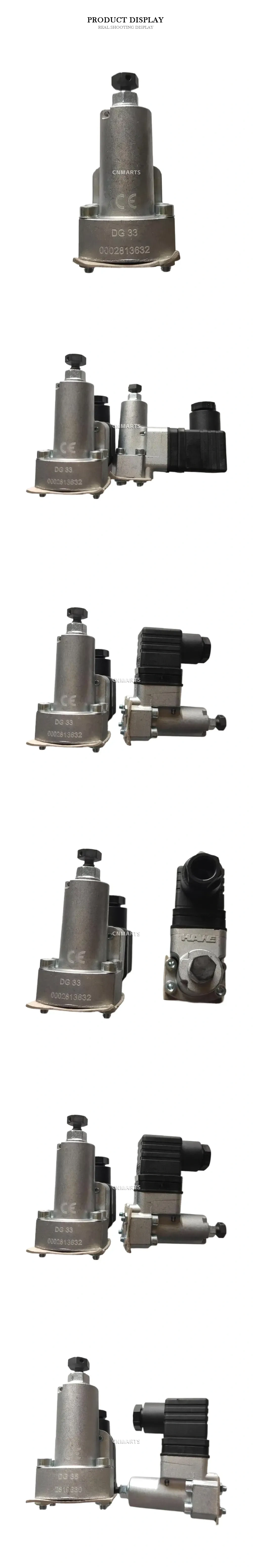 HAWE DG 33 Hydraulic Pressure Switch Description