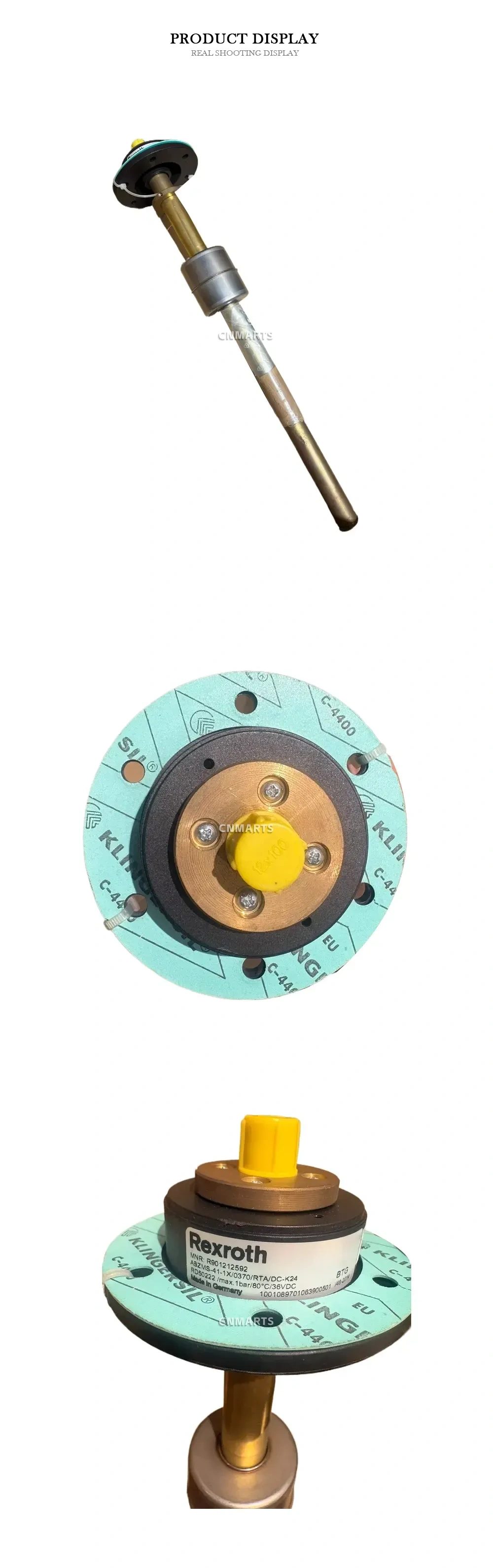 Rexroth ASZMS-41-1X/0370/RTA/DC-K24 Float Switch Description