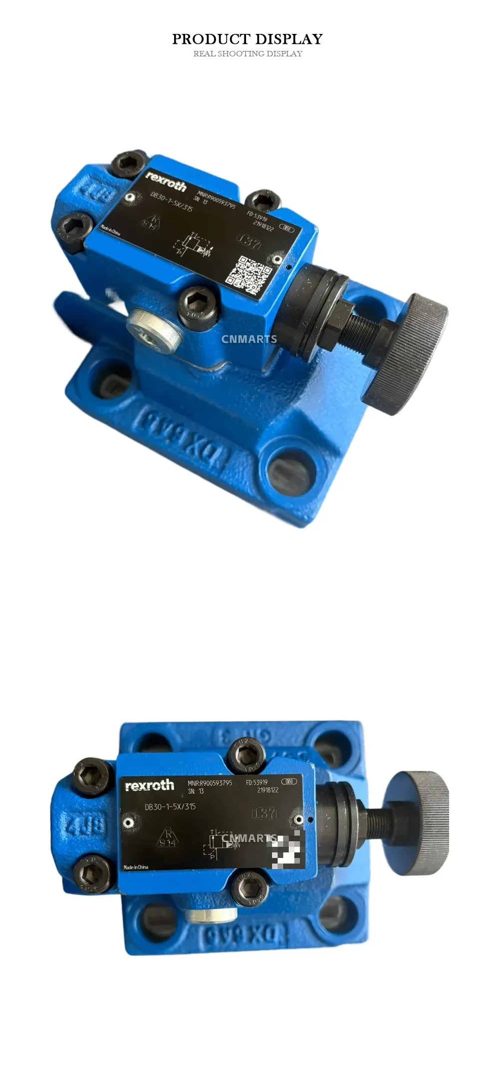 Rexroth DB30-1-5X/315 Pilot-operated Pressure Relief Valve Description