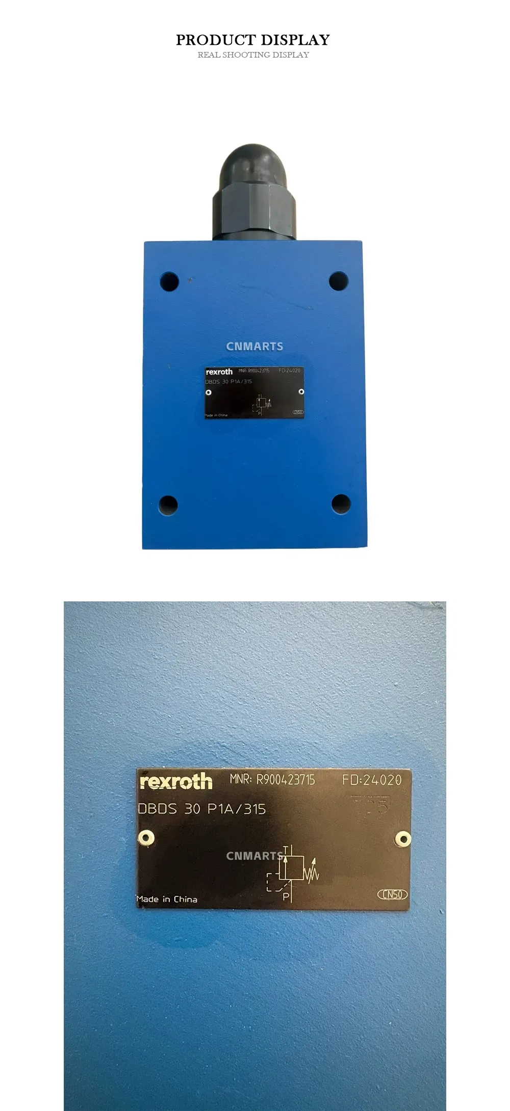 Rexroth DBDS 30 P1A/315 Direct Operated Pressure Relief Valve Description