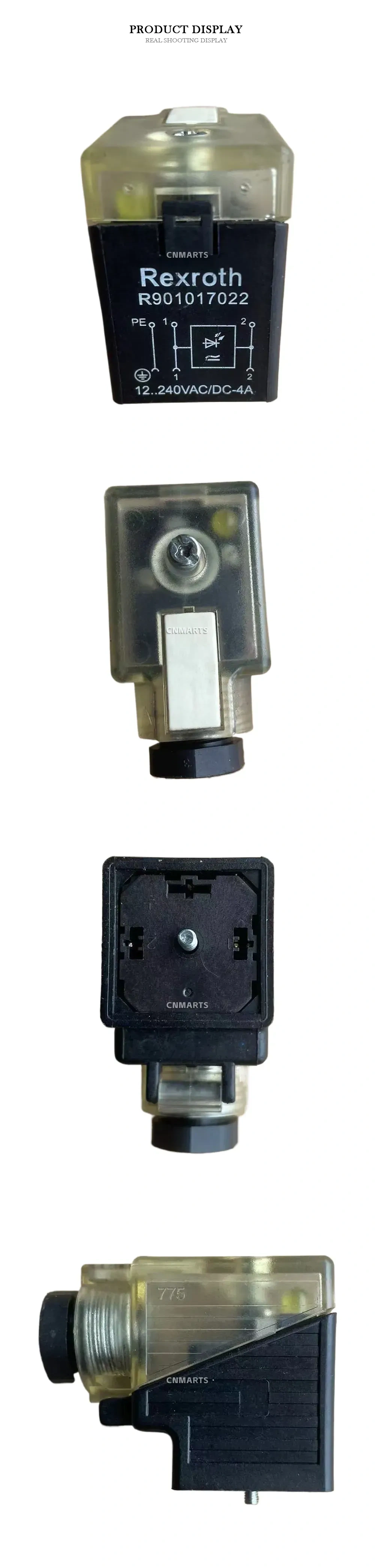 Rexroth R901017022 Solenoid Coil Description