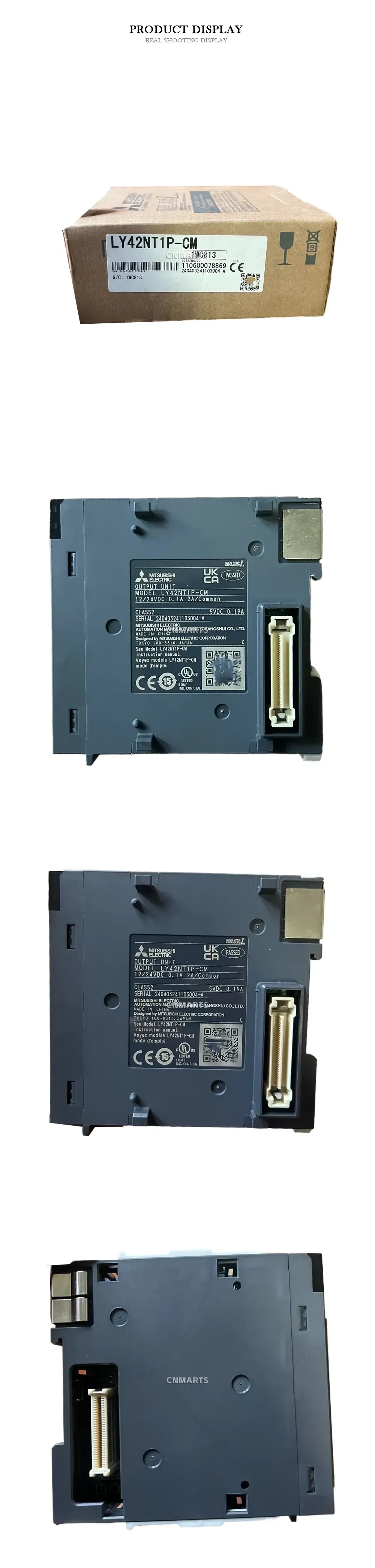 Mitsubishi Electric LY42NT1P-CM PLC Output Unit Description