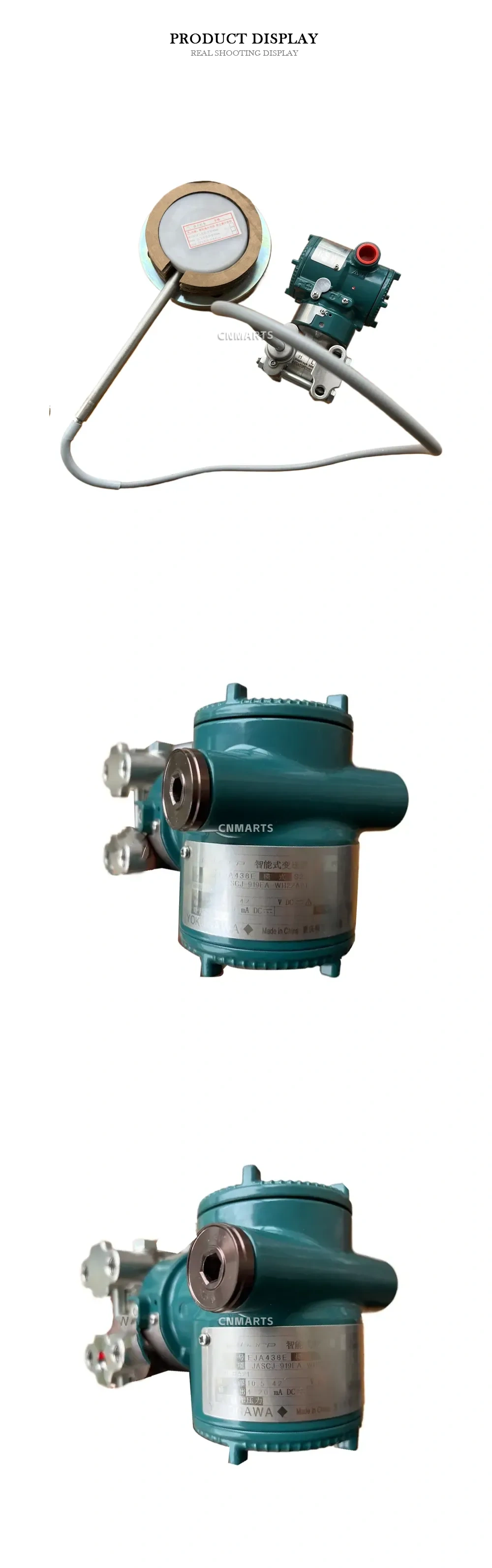 Yokogawa EJA438E Differential Pressure Transmitter with Remote Seal Description