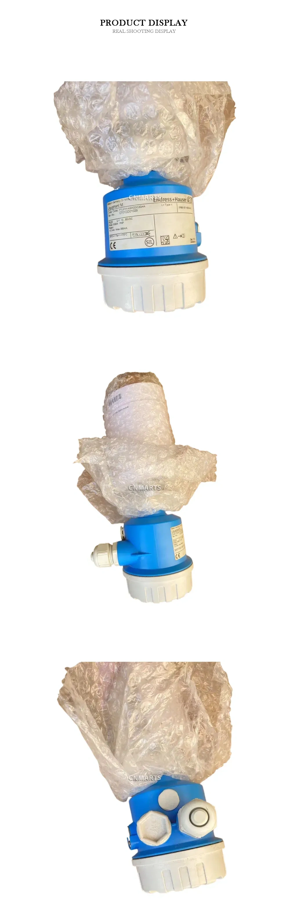 Endress+Hauser FTL51H-AGW2DC2G4A Vibrating Fork Level Switch (Liquiphant M) Description