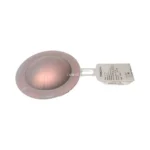 Oseco FAS04-2047-C Rupture Disc (Bursting Disc)