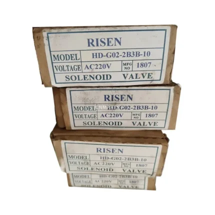 RISEN HD-G02-2B3B-10 Hydraulic Solenoid Directional Valve